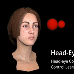 Head-EyeK: Head-eye Coordination and Control Learned in Virtual Reality 